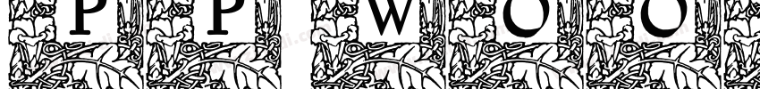 PP Woodland Regular字体转换